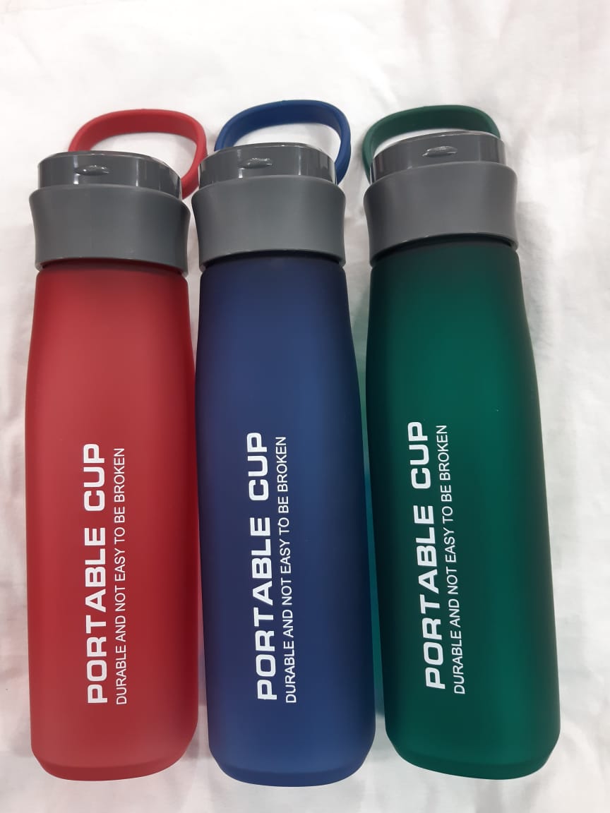 Portable water bottle