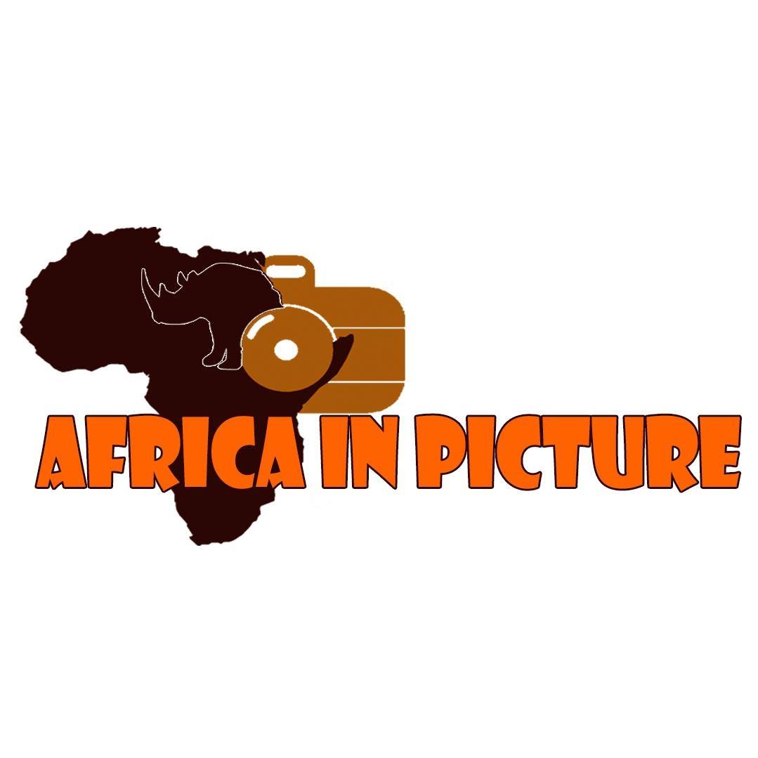 Africa In Picture